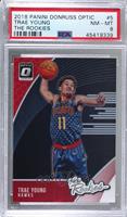 Trae Young [PSA 8 NM‑MT]