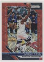 Gorgui Dieng #/88