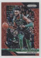 Jaylen Brown #/125