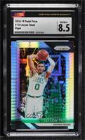 Jayson Tatum [CSG 8.5 NM/Mint+]