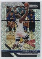 Gorgui Dieng #/25