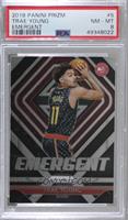 Trae Young [PSA 8 NM‑MT]