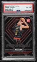 Trae Young [PSA 8 NM‑MT]