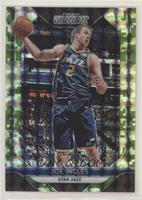 Joe Ingles #/25