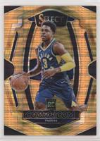 Premier Level - Aaron Holiday #/13