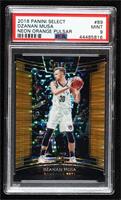 Concourse - Dzanan Musa [PSA 9 MINT] #/13