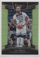 Concourse - Taj Gibson #/75