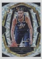 Premier Level - Rudy Gobert