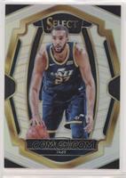 Premier Level - Rudy Gobert