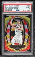 Premier Level - Giannis Antetokounmpo [PSA 9 MINT]