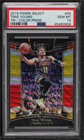 Concourse - Trae Young [PSA 10 GEM MT]