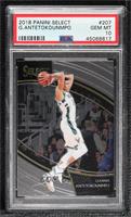 Courtside - Giannis Antetokounmpo [PSA 10 GEM MT]