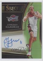 Zydrunas Ilgauskas #/99