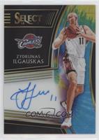 Zydrunas Ilgauskas #/25