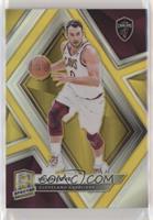 Kevin Love #/10