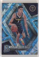 Michael Porter Jr. #/75