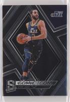 Ricky Rubio #/175