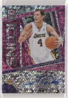 Luke Walton #/25