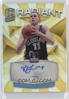 Zydrunas Ilgauskas [EX to NM] #/10