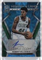 Robert Williams III #/60