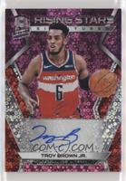 Troy Brown Jr. #/25