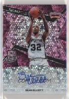 Sean Elliott #/25