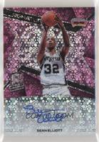 Sean Elliott #/25