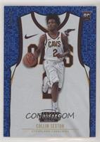 Rookies Association - Collin Sexton #/75