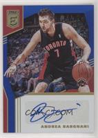 Andrea Bargnani #/35