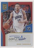 Hedo Turkoglu #/49