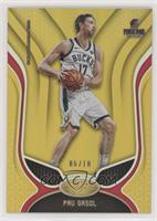 Pau Gasol #/10