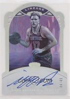 Ignas Brazdeikis #/49