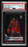 Rated Rookie - Coby White [PSA 10 GEM MT] #/39