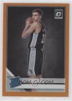 Rated Rookie - Luka Samanic (No Name On Front) #/199