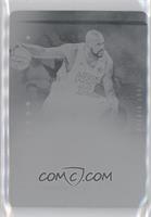 Shaquille O'Neal #/1