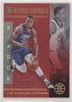 Rookies - Mfiondu Kabengele #/99