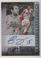 Andrea Bargnani