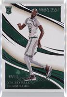 Tacko Fall #/99