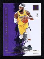 LeBron James #/49