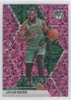 Jaylen Brown #/20