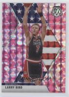 USA Basketball - Larry Bird