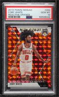 NBA Debut - Coby White [PSA 10 GEM MT]