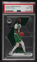 Rookies - Tacko Fall [PSA 8 NM‑MT]