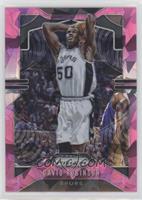 David Robinson