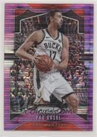 Pau Gasol #/35