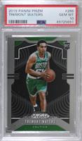 Rookie - Tremont Waters [PSA 10 GEM MT]