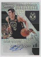 Ersan Ilyasova #/25