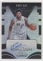 Rudy Gay #/25