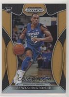 PJ Washington Jr. #/149