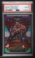 Concourse - Bruno Fernando [PSA 10 GEM MT]